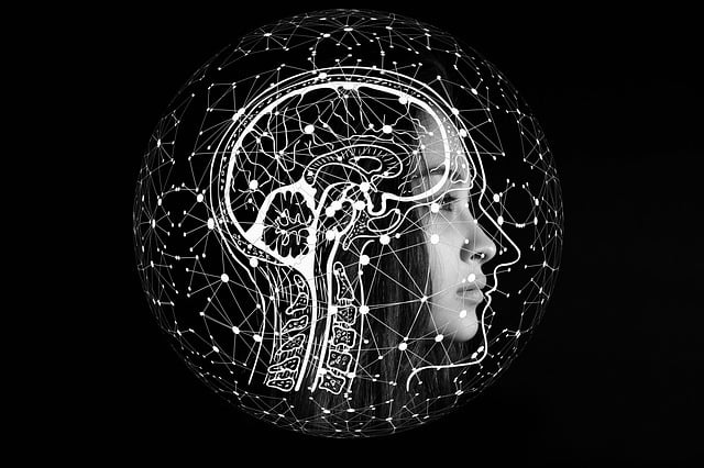 跟着古人学阳谋，逆向思维多有用？
